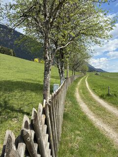Foto von Martin Weninger entlang der Tour