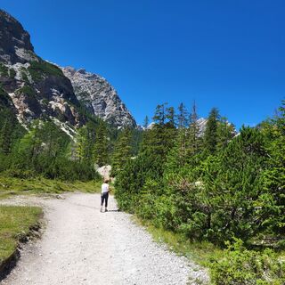 Fotografija s spletne strani SebastianB na poti
