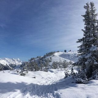 Über die kleine Wurzen auf den 4-Jahreszeiten-Weg