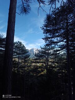 Fotografija s spletne strani Bergpirat na poti