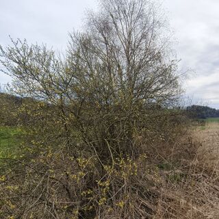 Foto von Sonja Enzenhofer entlang der Tour