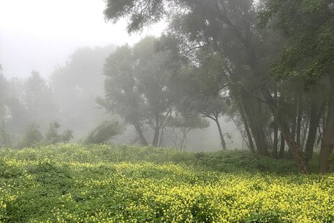 Foto von Gloop entlang der Tour