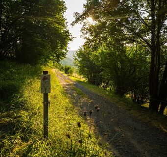 Rotweinwanderweg zur Landskrone