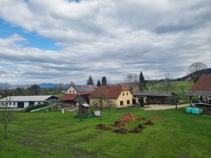 Foto von Grizli entlang der Tour