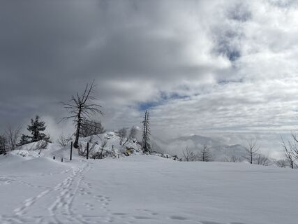 Fotografia z Heinz Sperl na trase