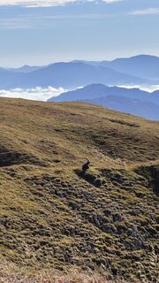 Photo de Florentin Augustin le long du parcours