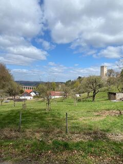 1Blick zur Greener Burg