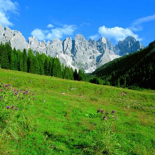Val Venegia - Am Fuße der Dolomiten Pale di San Martino