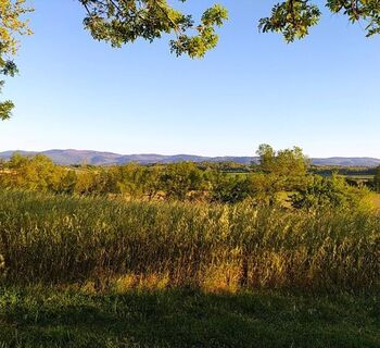 Landschaft