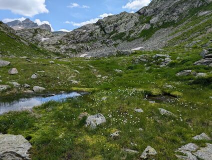 Foto von WolBo entlang der Tour