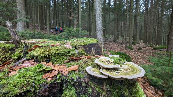 Foto von Klaus Lehner entlang der Tour