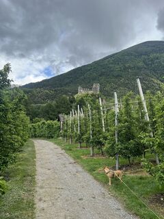Foto från Peter Schäfer under resans gång