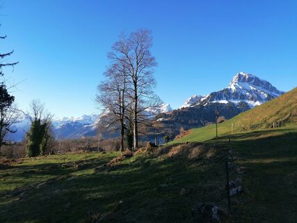 Fotografia z luyyy na trase