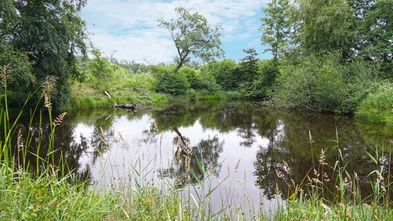 Naturschutzgebiet im Leiken
