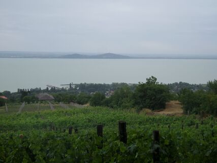 Badacony Rózsa-kõ