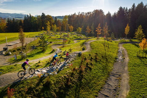 Swiss Bike Park 1