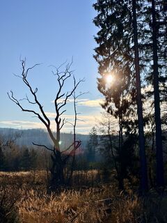 Zdjęcie z TallWanderBilly wzdłuż trasy
