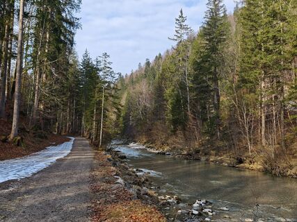 Foto von Michi Steiert entlang der Tour