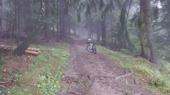Weg auf Jauerling