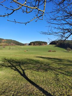 Foto van ReginaSt langs de tour