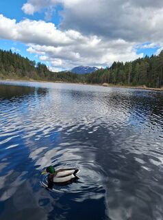 Fotografia z Dagmar Hofer na trase