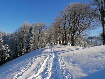 Fotografia z luyyy na trase