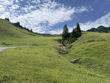Foto de Andreas Gryschka a lo largo del recorrido