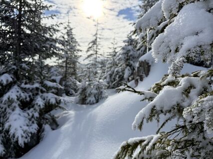 Fotografija s spletne strani Natur_erleben_dg na poti