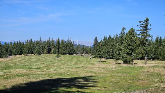 Teufelsteinrunde von da Schanz