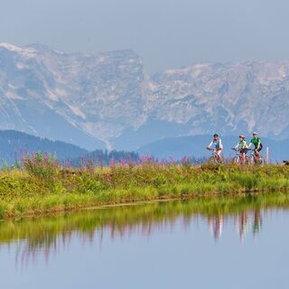 Darmoossee