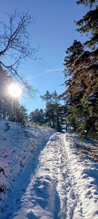 Fotografija s spletne strani Harald Puschacher na poti