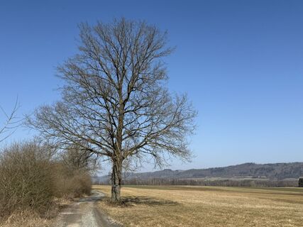 Foto von Norbert Herbig entlang der Tour
