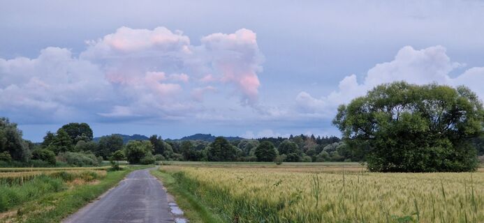 Foto da Utassy Tóth Johanna lungo il tour