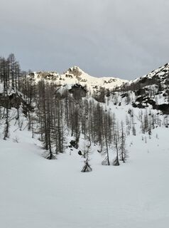 Fotografija s spletne strani Robert Treven na poti