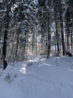 Fotografija s spletne strani constantin hoffmann na poti