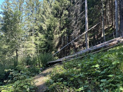 Fotografie z justasimpleguy na trase