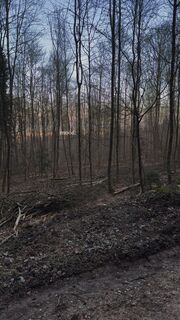 Fotó a robin Zuhn honlapról a túra során