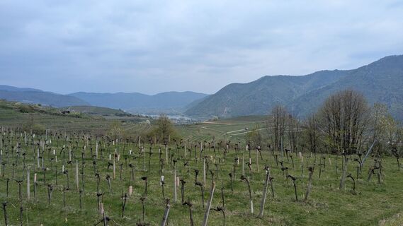 Foto von Edero entlang der Tour