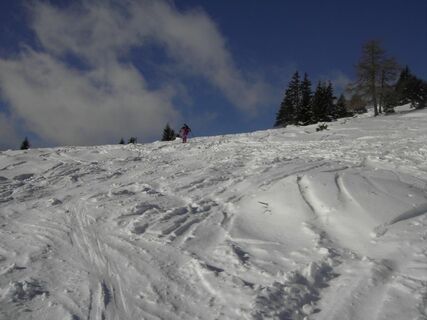 Saualpe - Abfahrt (Offner Hoal`t)