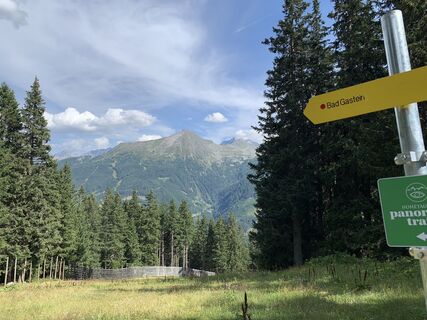 Photo de Koen De Wit le long du parcours