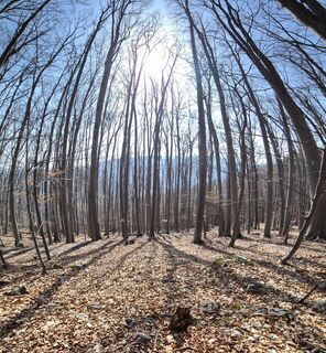 Zdjęcie z Patrick82 wzdłuż trasy