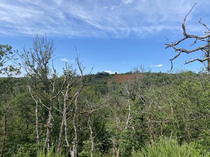 Foto von Dan Braun entlang der Tour