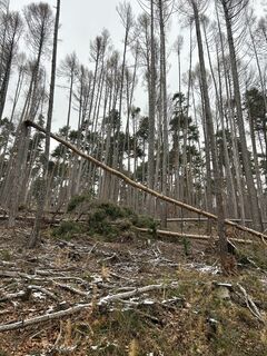 Foto von Kellner Heidi entlang der Tour