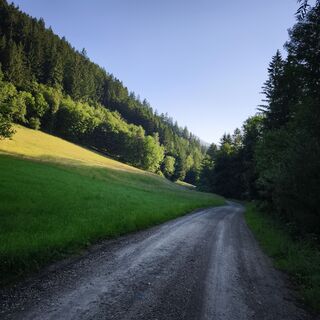 Foto von Hakuna Matata entlang der Tour