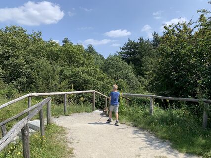 Fotografija s spletne strani Koen De Wit na poti