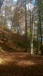 Goldberg-Höhenwanderweg