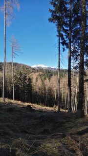 Göller vom Aufstieg auf den Preinecksattel