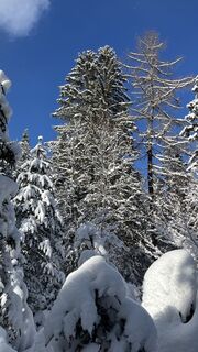 Foto de constantin hoffmann a lo largo del recorrido