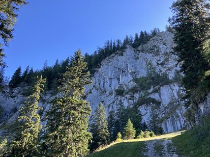 Photo de Meinrad Föger le long du parcours