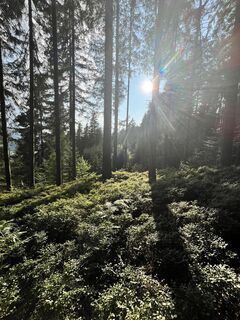 Photo de Janfrederickx le long du parcours